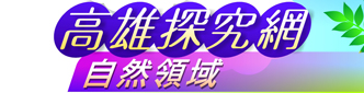 高雄探究網配合上網飆寒假作業